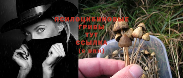 каннабис Зеленокумск